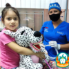 Oferta Peluches con Arcada Dental 7